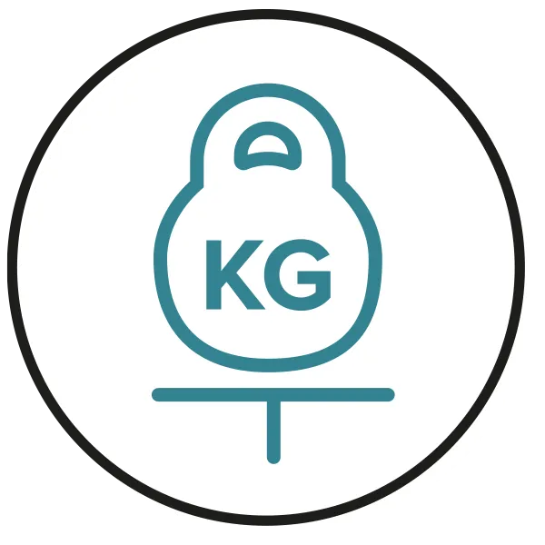 Icon Mass and Balance